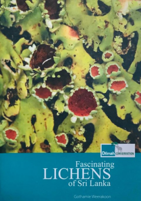 Fascinating Lichens Of Srilanka